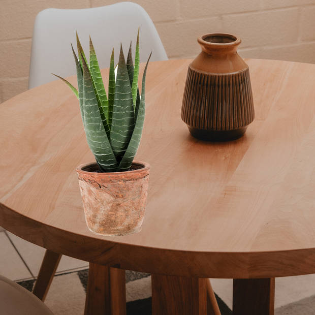 Emerald Kunstplant Aloe Vera - groen - in oude terracotta pot - 23 cm - Kunstplanten