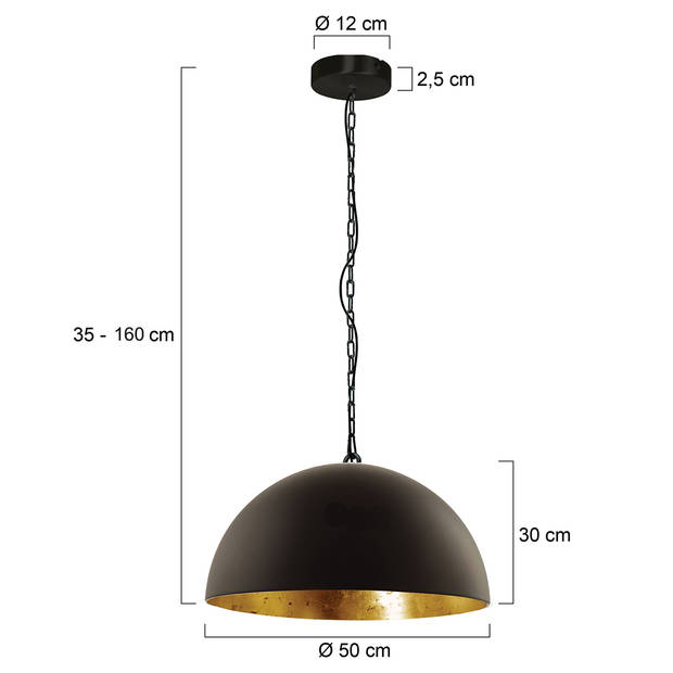 Steinhauer Hanglamp semicirkel 2555zw zwart