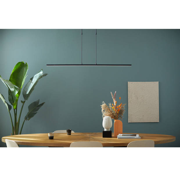 Steinhauer Hanglamp Humilus LED 1482zw zwart