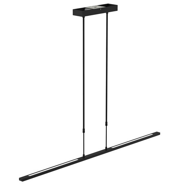 Steinhauer Hanglamp Humilus LED 1482zw zwart