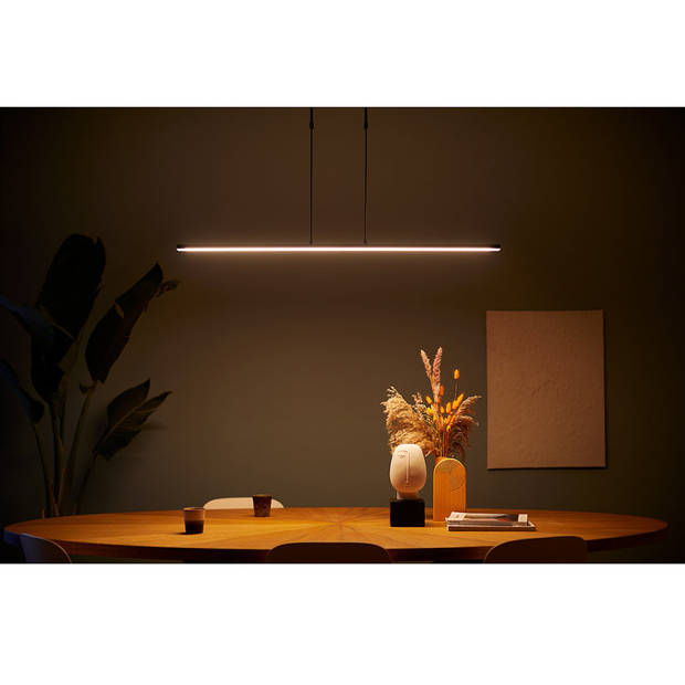 Steinhauer Hanglamp Humilus LED 1482zw zwart