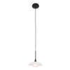 Steinhauer Hanglamp tallerken LED 2655zw zwart