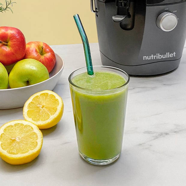 Nutribullet Juicer - 800 ml - 800 Watt - Brede invoertrechter - Handige Sapkan, Schoonmaakborstel en Stamper - Grijs