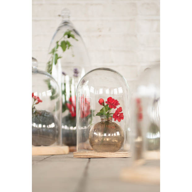 HAES DECO - Decoratieve glazen stolp met lichtbruin houten voet, diameter 18 cm en hoogte 28 cm - ST021701