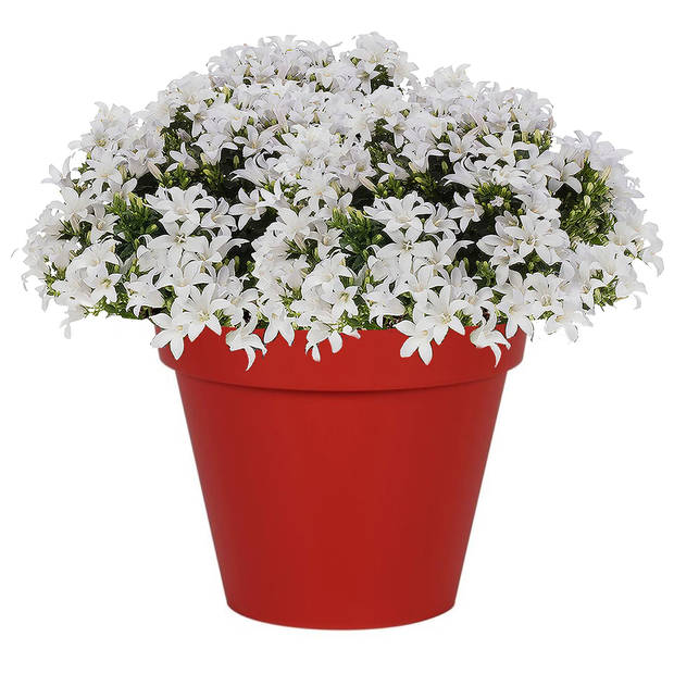 Bloempot Toscane kunststof rood D30 x H26 cm - Plantenpotten