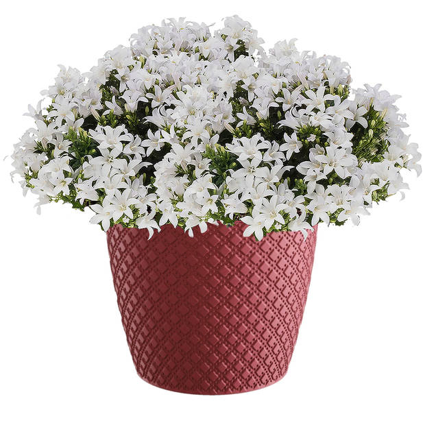 Bloempot/plantenpot van kunststof orient rood D15.7 en H13.8 cm - Plantenpotten