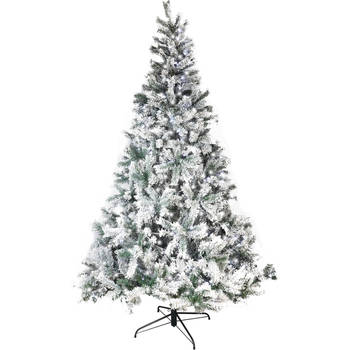Opeenvolgend krans instinct Kerstbomen koop je online bij Blokker