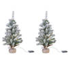 2x stuks besneeuwde miniboompjes/kunst kerstbomen met licht 45 cm - Kunstkerstboom