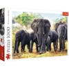 Trefl Trefl 1000 - African elephants