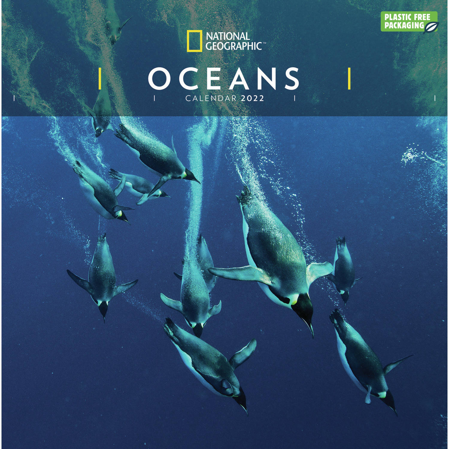 Dieren Kalender 2022 Oceaandieren National Geographic 30 Cm - Jaarkalenders