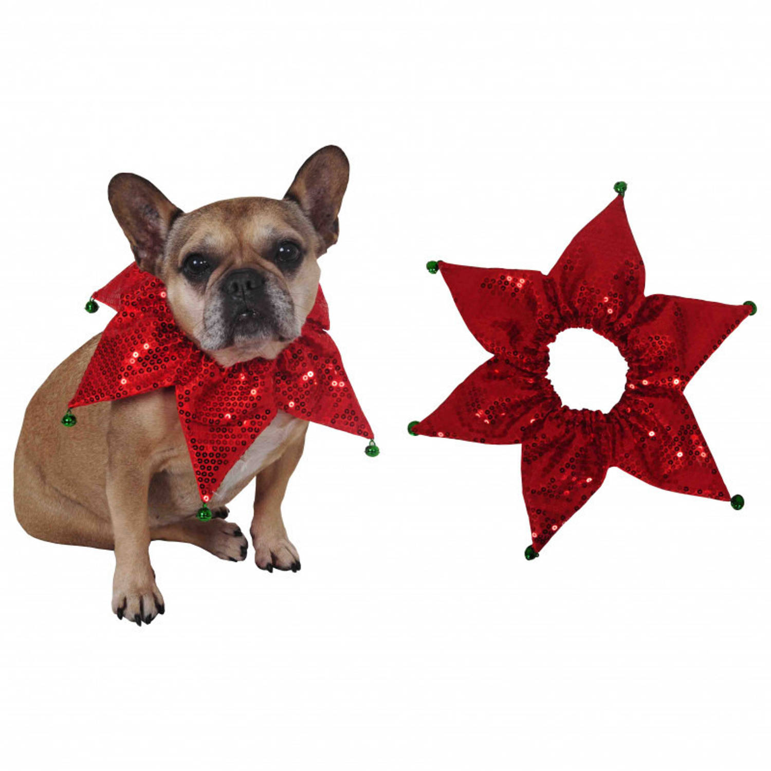 symbool Veel hoe vaak Honden verkleed kraag/halsband Kerst met belletjes - Verkleedattributen |  Blokker
