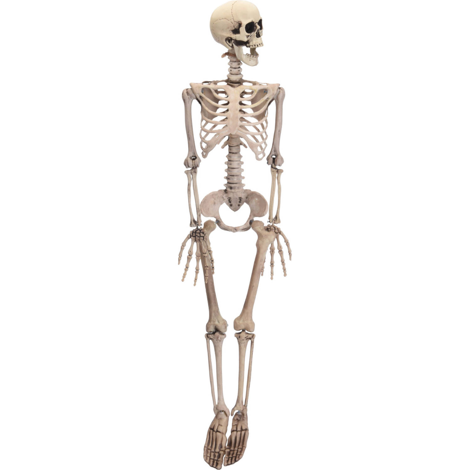 Witbaard Skelet Halloween Decoratief 90 Cm Wit