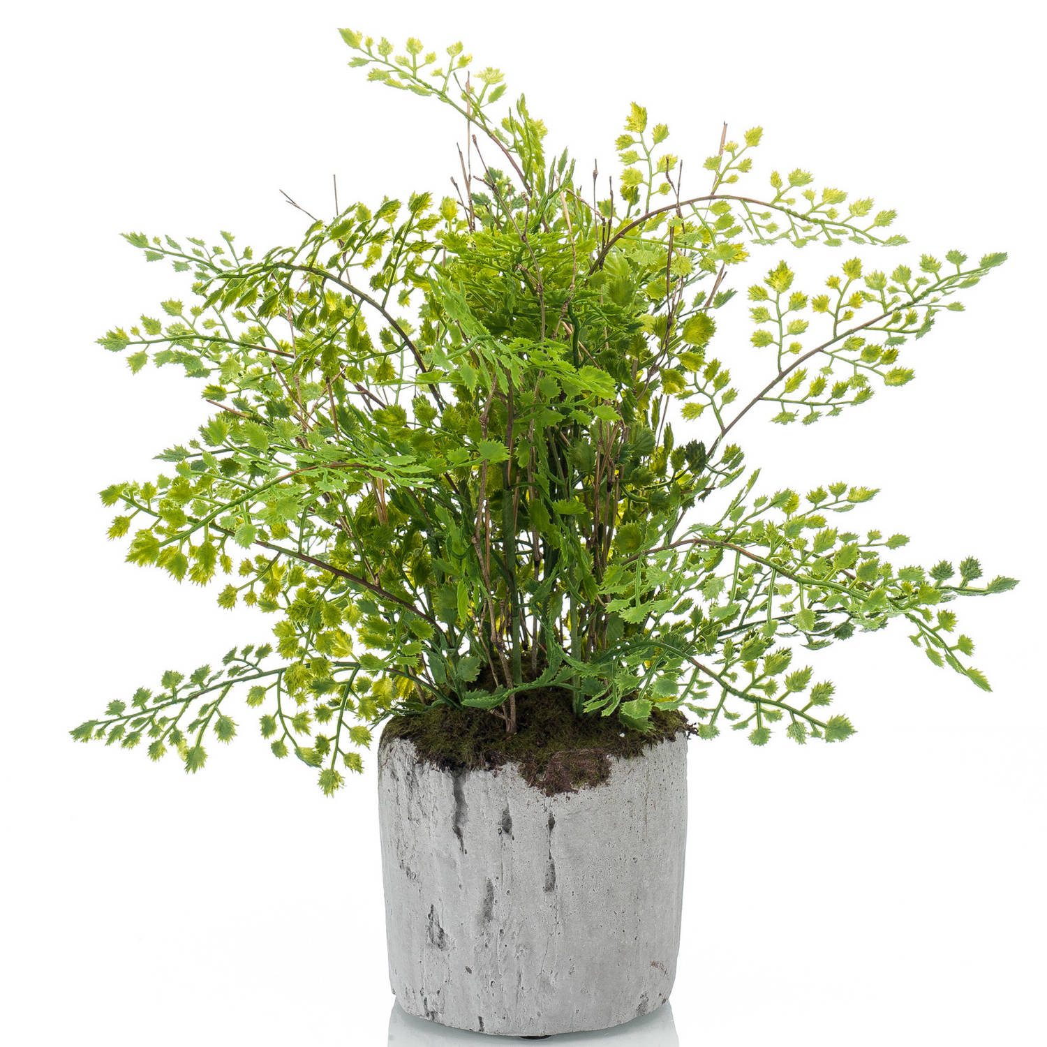 Kunstplant Fern adianthum 30 cm in pot