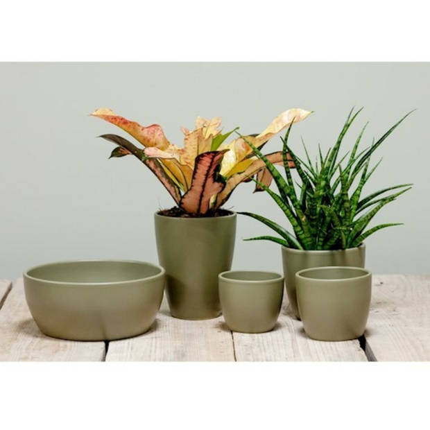 Floran Plantenpot - dennen groen - mat - keramiek - 13 x 12 cm - Plantenpotten