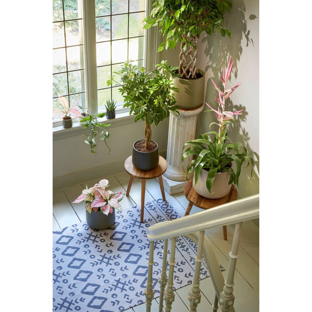 Mica Decorations Bloempot - groen - mat - keramiek - 17 x 15 cm - Plantenpotten
