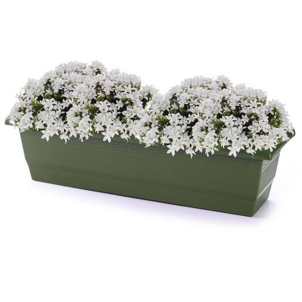 Plantenbak groen rechthoekig 60 x 20 x 16 cm - Plantenbakken