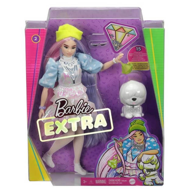 Pop Barbie Fashionista Barbie Green Cap Long Purple and Pink Hair