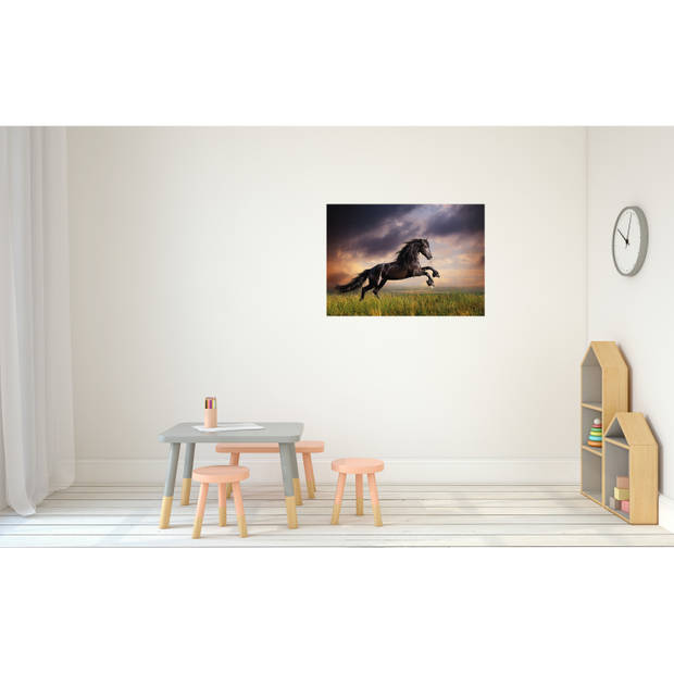 Dieren kinderkamer poster galopperende zwarte hengst / paard 84 x 59 cm - Posters