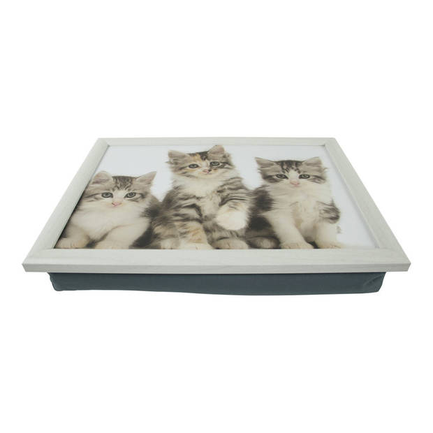 Laptray/schoottafel 3 kat/poes/kittens print 43 x 33 cm - Dienbladen