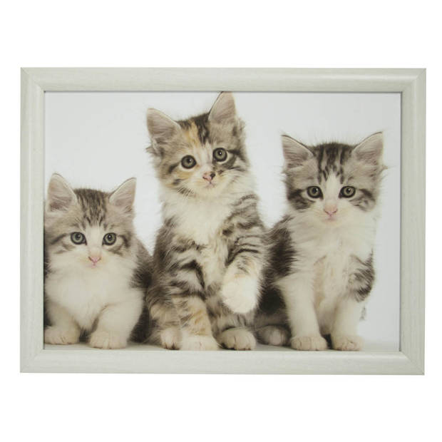 Laptray/schoottafel 3 kat/poes/kittens print 43 x 33 cm - Dienbladen