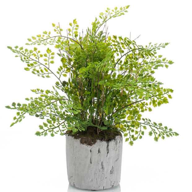 Groene kunstplant varen 28 cm in pot - Mooie decoratie kunstplanten voor binnen - Kunstplanten