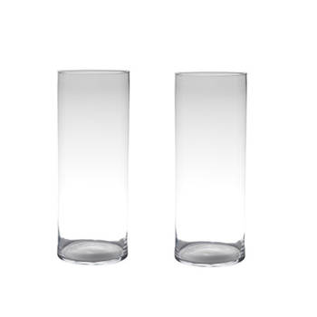 Set van 2x stuks glazen bloemen cylinder vaas/vazen 50 x 19 cm transparant - Vazen