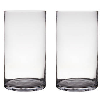 2x Glazen bloemen cylinder vaas/vazen 45 x 25 cm transparant - Vazen