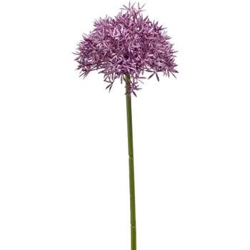 Emerald Allium/Sierui kunstbloem - losse steel - paars - 62 cm - Natuurlijke uitstraling - Kunstbloemen