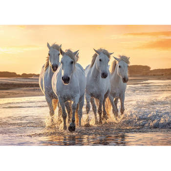 Dieren kinderkamer poster kudde witte paarden in de zee 84 x 59 cm - Posters