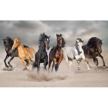 Dieren kinderkamer poster galopperende paarden in het zand 84 x 52 cm - Posters