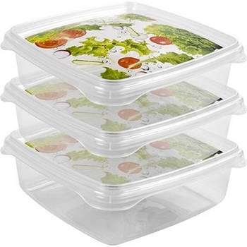 9x Voedsel plastic bewaarbakjes 0,8 liter transparant - Vershoudbakjes