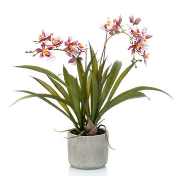 Bordeaux rode orchidee kunstplant in keramische pot 45 cm - Kunstplanten