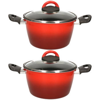 Set van 2x stuks rvs rode kookpan/pan met glazen deksel 20 cm 6 liter - Kookpannen