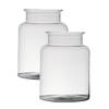 2x stuks transparante home-basics vaas/vazen van glas 25 x 19 cm - Vazen