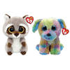 Ty - Knuffel - Beanie Boo's - Racoon & Max Dog