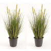 Set van 2x stuks kunstplanten groen gras sprieten 45 cm. - Kunstplanten