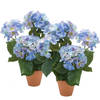 2x stuks blauwe hortensia kunstplant in terracotta pot 40 cm - Kunstplanten