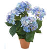 Blauwe hortensia kunstplant in terracotta pot 40 cm - Kunstplanten