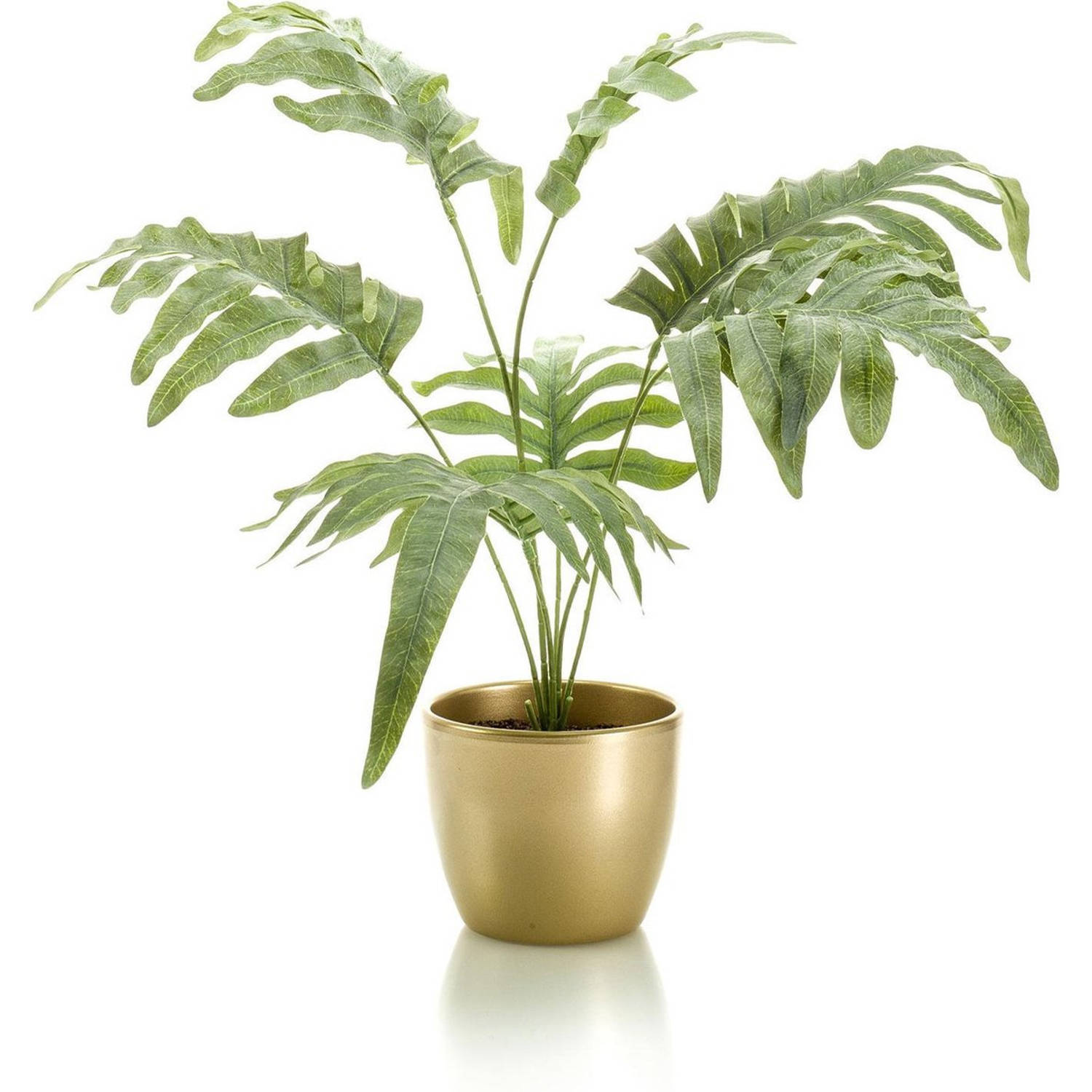 Bemiddelaar moeilijk herten Phlebodium kunstplant grijs/groen 67 cm in gouden pot - Kunstplanten |  Blokker