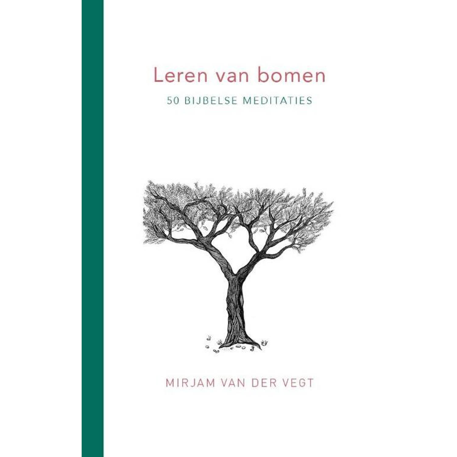 Leren Van Bomen