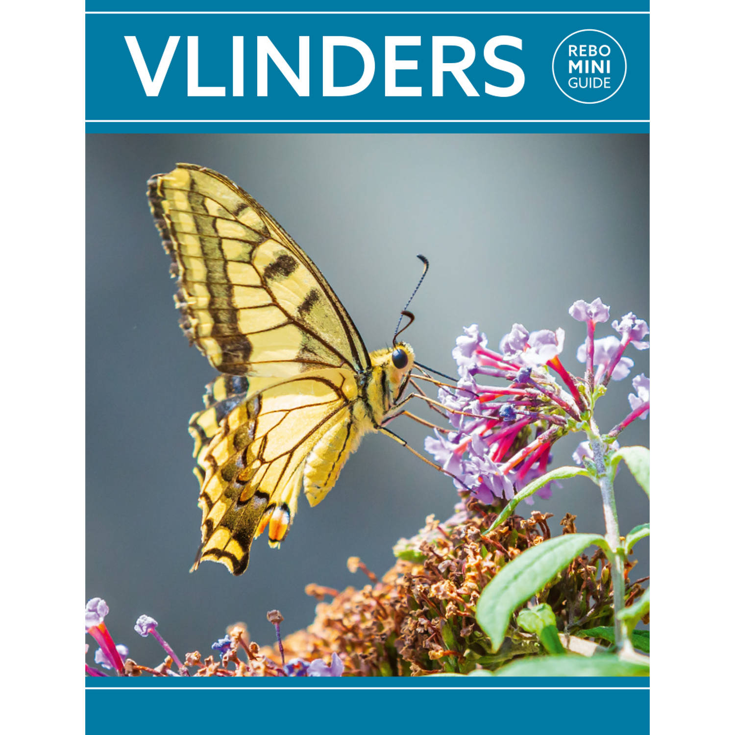 Rebo Productions Vlinders - Rebo Mini guide - (ISBN:9789036637930)