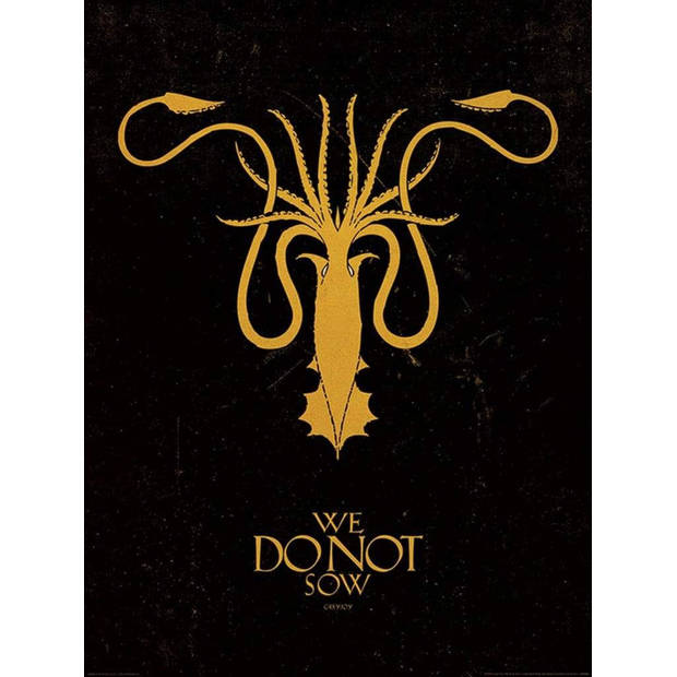 Kunstdruk Game of Thrones Greyjoy 60x80cm