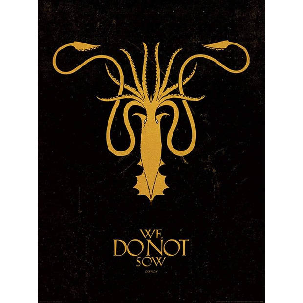 Kunstdruk Game of Thrones Greyjoy 60x80cm