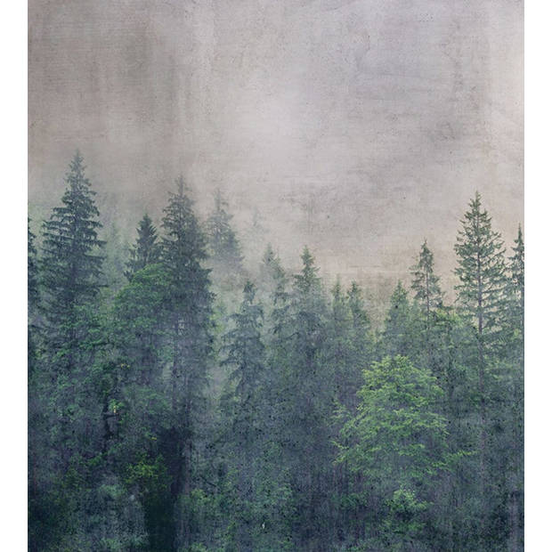 Dimex Forest Abstract Fotobehang 225x250cm 3-banen