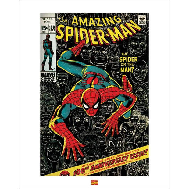 Kunstdruk Spider-Man 40x50cm