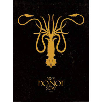 Kunstdruk Game of Thrones Greyjoy 60x80cm