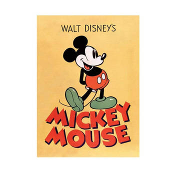 Kunstdruk Mickey Mouse Mickey 60x80cm