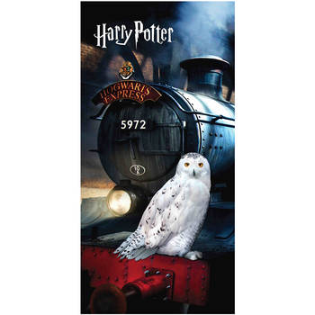 Harry Potter Strandlaken Hedwig - 70 x 140 cm - Katoen