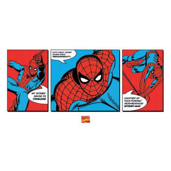 Kunstdruk Spider-Man Triptych 100x50cm