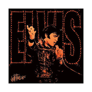 Kunstdruk Elvis Presley 68 40x40cm